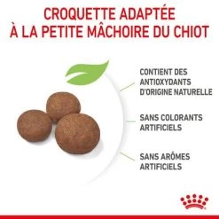 Royal Canin Medium Puppy Pour Chien 17 Royal Canin Medium Puppy Pour Chien -Pet Care Soldes rc spt dry mediumpuppy cv 4 fr fr 9