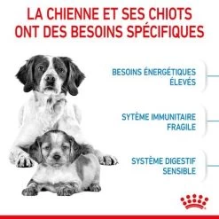 Royal Canin Medium Starter Mother & Babydog Pour Chiot -Pet Care Soldes rc spt dry mediumstart cv 2 fr fr 4