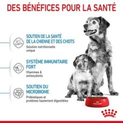 Royal Canin Medium Starter Mother & Babydog Pour Chiot -Pet Care Soldes rc spt dry mediumstart cv 3 fr fr 1
