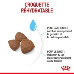 Royal Canin Medium Starter Mother & Babydog Pour Chiot -Pet Care Soldes rc spt dry mediumstart cv 4 fr fr 3