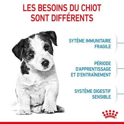 Royal Canin Mini Puppy Pour Chiot 7 Royal Canin Mini Puppy Pour Chiot – Image 5