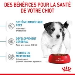 Royal Canin Mini Puppy Pour Chiot 19 Royal Canin Mini Puppy Pour Chiot -Pet Care Soldes rc spt dry minipuppy cv 3 fr fr 7