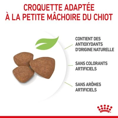 Royal Canin Mini Puppy Pour Chiot 9 Royal Canin Mini Puppy Pour Chiot – Image 7