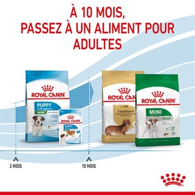 Royal Canin Mini Puppy Pour Chiot 14 Royal Canin Mini Puppy Pour Chiot – Image 12
