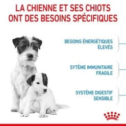 Royal Canin Mini Starter Mother & Babydog Pour Chien 18 Royal Canin Mini Starter Mother & Babydog Pour Chien -Pet Care Soldes rc spt dry ministart cv 2 fr fr 8