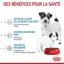Royal Canin Mini Starter Mother & Babydog Pour Chien 19 Royal Canin Mini Starter Mother & Babydog Pour Chien -Pet Care Soldes rc spt dry ministart cv 3 fr fr 7
