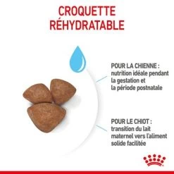 Royal Canin Mini Starter Mother & Babydog Pour Chien 20 Royal Canin Mini Starter Mother & Babydog Pour Chien -Pet Care Soldes rc spt dry ministart cv 4 fr fr 9