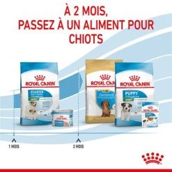 Royal Canin Mini Starter Mother & Babydog Pour Chien 24 Royal Canin Mini Starter Mother & Babydog Pour Chien -Pet Care Soldes rc spt dry ministart cv 5 fr fr 4