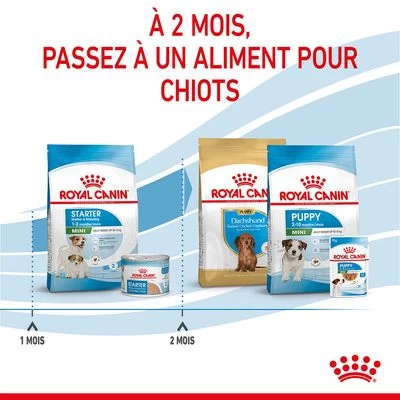 Royal Canin Mini Starter Mother & Babydog Pour Chien 13 Royal Canin Mini Starter Mother & Babydog Pour Chien – Image 11