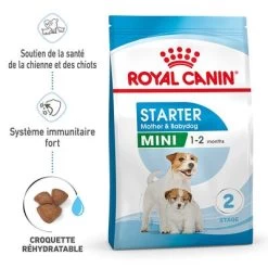Royal Canin Mini Starter Mother & Babydog Pour Chien 17 Royal Canin Mini Starter Mother & Babydog Pour Chien -Pet Care Soldes rc spt dry ministart mv 1 fr fr 7