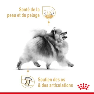 Royal Canin Spitz Nain Adult Pour Chien 5 Royal Canin Spitz Nain Adult Pour Chien – Image 3