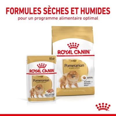 Royal Canin Spitz Nain Adult Pour Chien 7 Royal Canin Spitz Nain Adult Pour Chien – Image 5