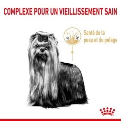 Royal Canin Yorkshire Terrier Adult 8+ Pour Chien -Pet Care Soldes rc spt dry york8 cv 1 fr fr 6