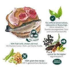 Lot Wolf Of Wilderness The Taste Of 2 X 12 Kg Pour Chien -Pet Care Soldes wow regions mediterranean marketingboard 8