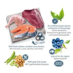 Lot Wolf Of Wilderness The Taste Of 2 X 12 Kg Pour Chien -Pet Care Soldes wow regions scandinavia marketingboard 4