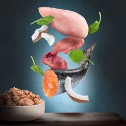 Purizon Adult 6 X 400 G - Sans Céréales Pour Chien -Pet Care Soldes zop 21 117 purizon nassfutter marketingboards lachs p6 4