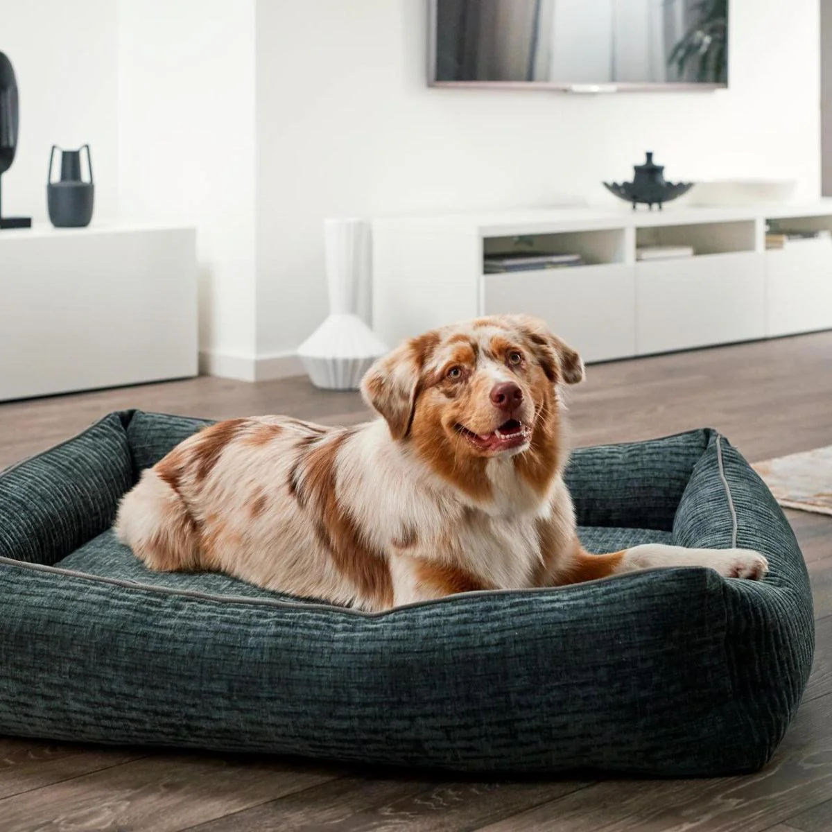 Pet Care Soldes -Pet Care Soldes panier pour chien resistant nova kasibe 23214